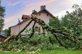 La Suisse trahie par l’UE : une catastrophe financière inévitable